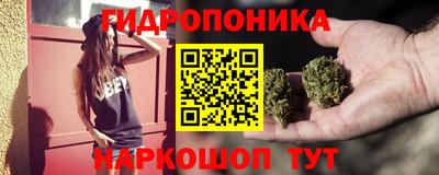 spice Кимры