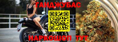 прущие грибы Кингисепп
