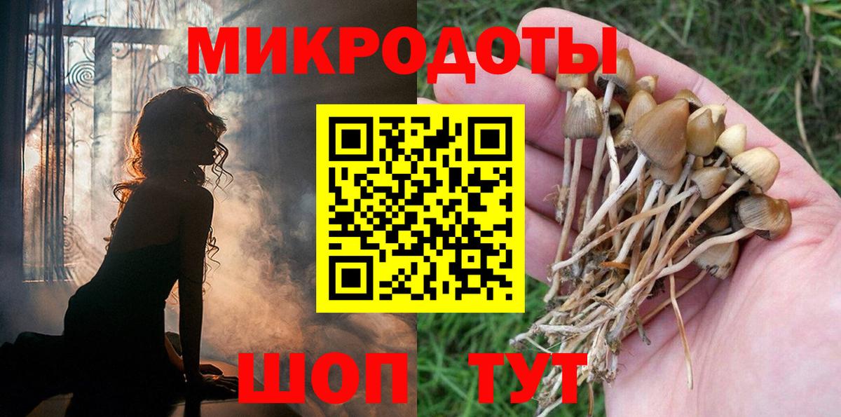 Куйбышев  Псилоцибиновые грибы прущие грибы  Вход с VPN 