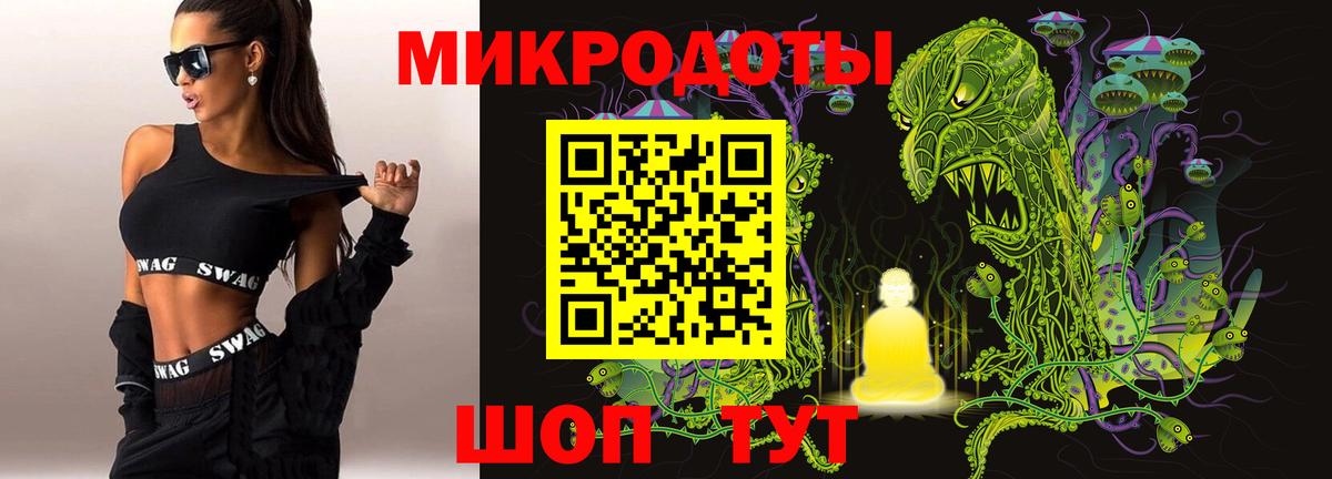 Галлюциногенные грибы MAGIC MUSHROOMS  купить закладку  Куйбышев 