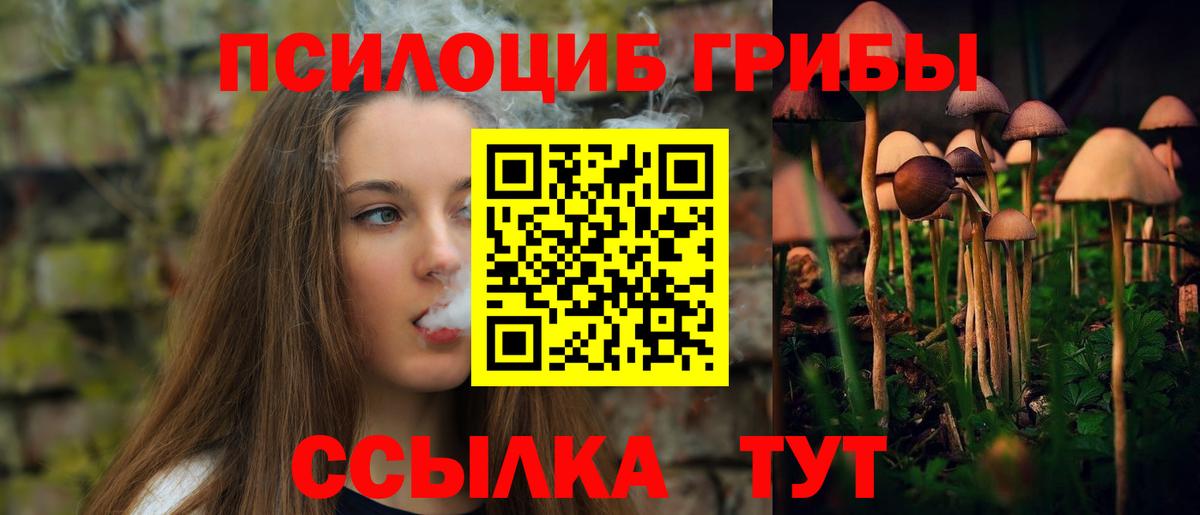 Галлюциногенные грибы Куйбышев